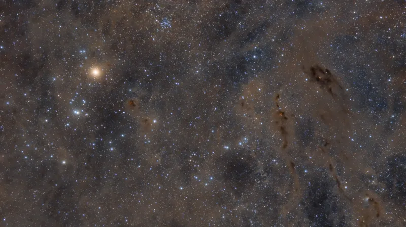 Hvězdokupa Prasátka