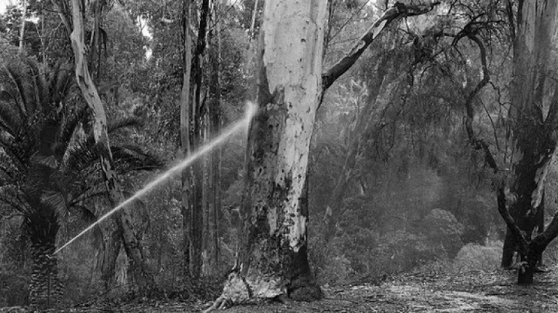 Only The Good Ones: The Snapshot Aesthetic Revisited