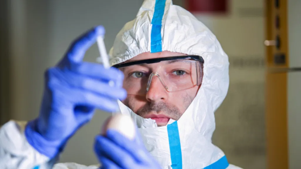 Vědci z Mendelovy univerzity vyvíjí test na ebolu