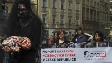 Krvavá módní přehlídka aktivistů ze spolku OBRAZ
