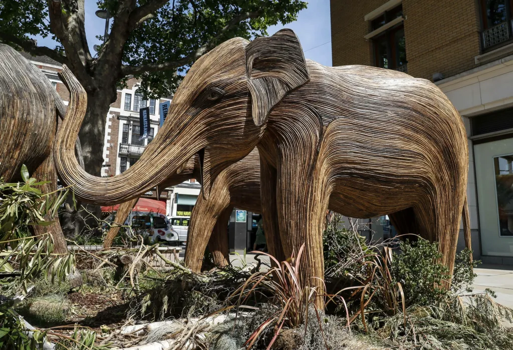 Charitativní organizace Elephant Family vystavila v Londýně sto dřevěných soch slonů v životní velikosti