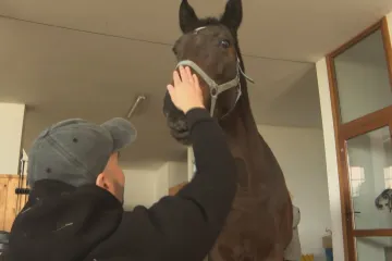 Ukrajina dá víc peněz válečným veteránům. Do života se vracejí i díky koním