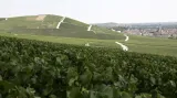Vinařský kraj Champagne ve Francii