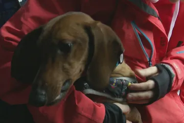 Rodina zažila při útěku z Kyjeva tragédii. Ztraceného psa jim pomohl najít štáb ČT