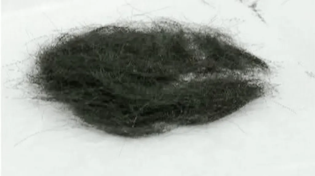 Vlasy Elvise Presleyho