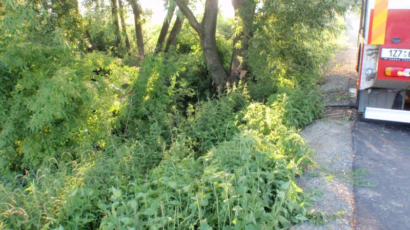 Dodávka sjela ze silnice a narazila do stromu