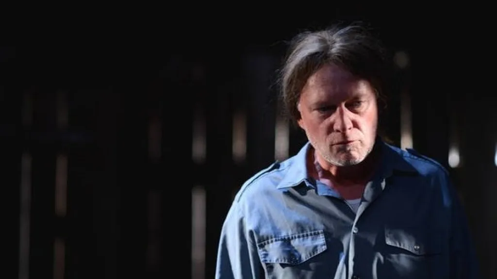 Vladimirova děvka / Michal Dlouhý