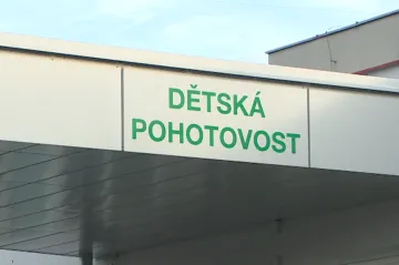 Pediatra vzali do vazby a stovky dětí v Plané zůstaly bez lékaře. V okolí volno nemají