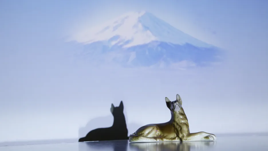 Štěpánka Šimlová / ze série Still Lifes of Microworlds, 2015