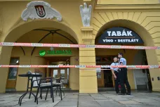 Muži, který zadržoval ženu v Českých Budějovicích, hrozí dvanáct let vězení