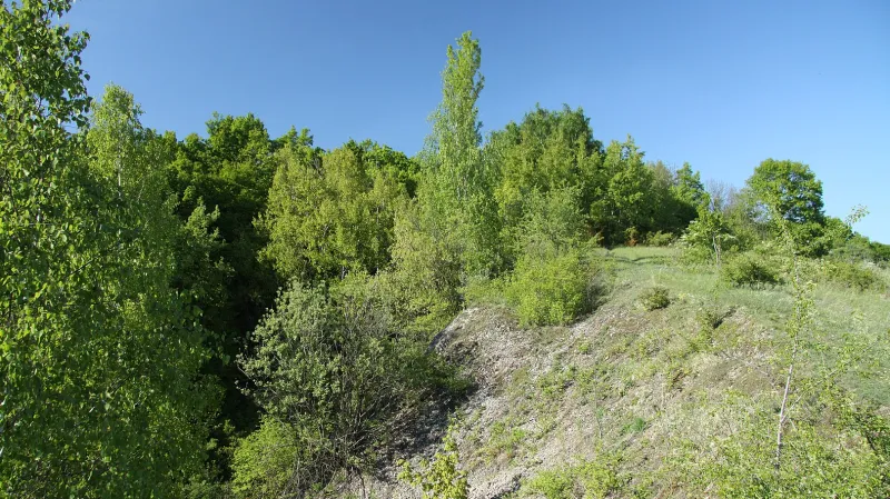 Homolka v Praze-Velké Chuchli – mezinárodní stratotyp hranice lochkov-prag, dvou nejspodnějších stupňů devonu.