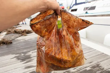 „Rozložitelné“ tašky vydržely v půdě tři roky a nerozložily se, ukázal britský výzkum