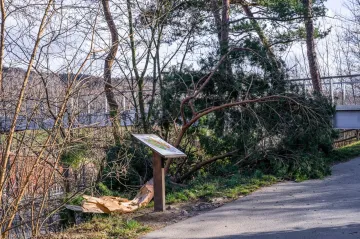 Týden bude teplý a bohatý na srážky, vítr se uklidní
