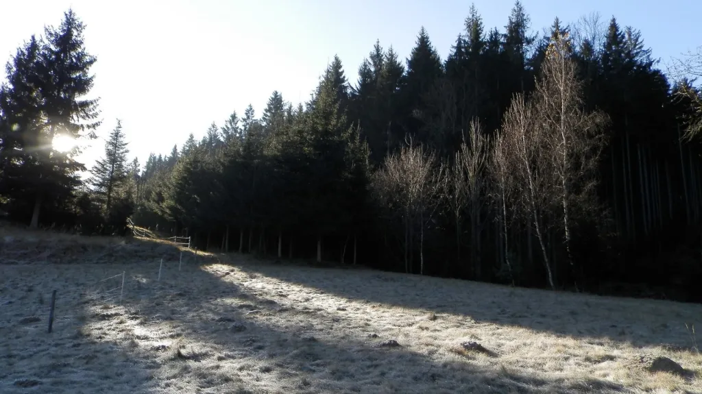 Mráz v Halenkově 29. 11. 2018