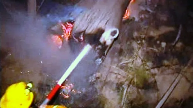 Australští hasiči