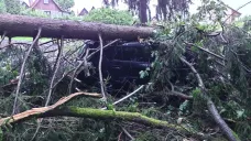 V Ústí nad Orlicí spadl strom na osobní auto