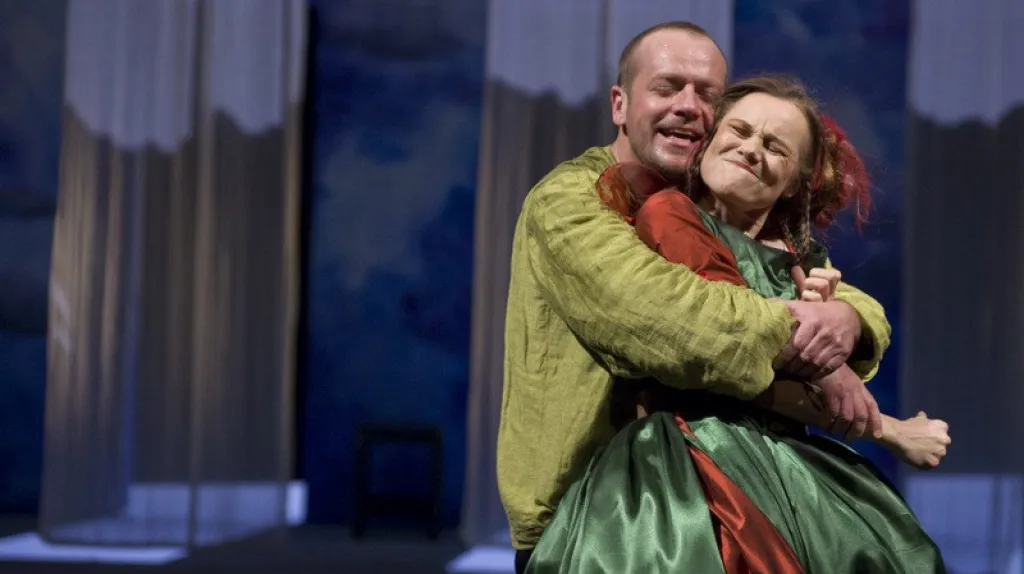 Zkrocení zlé ženy