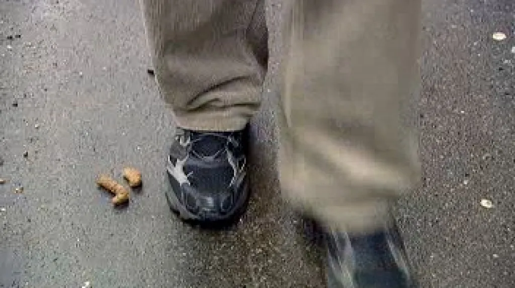 Znečištěná ulice