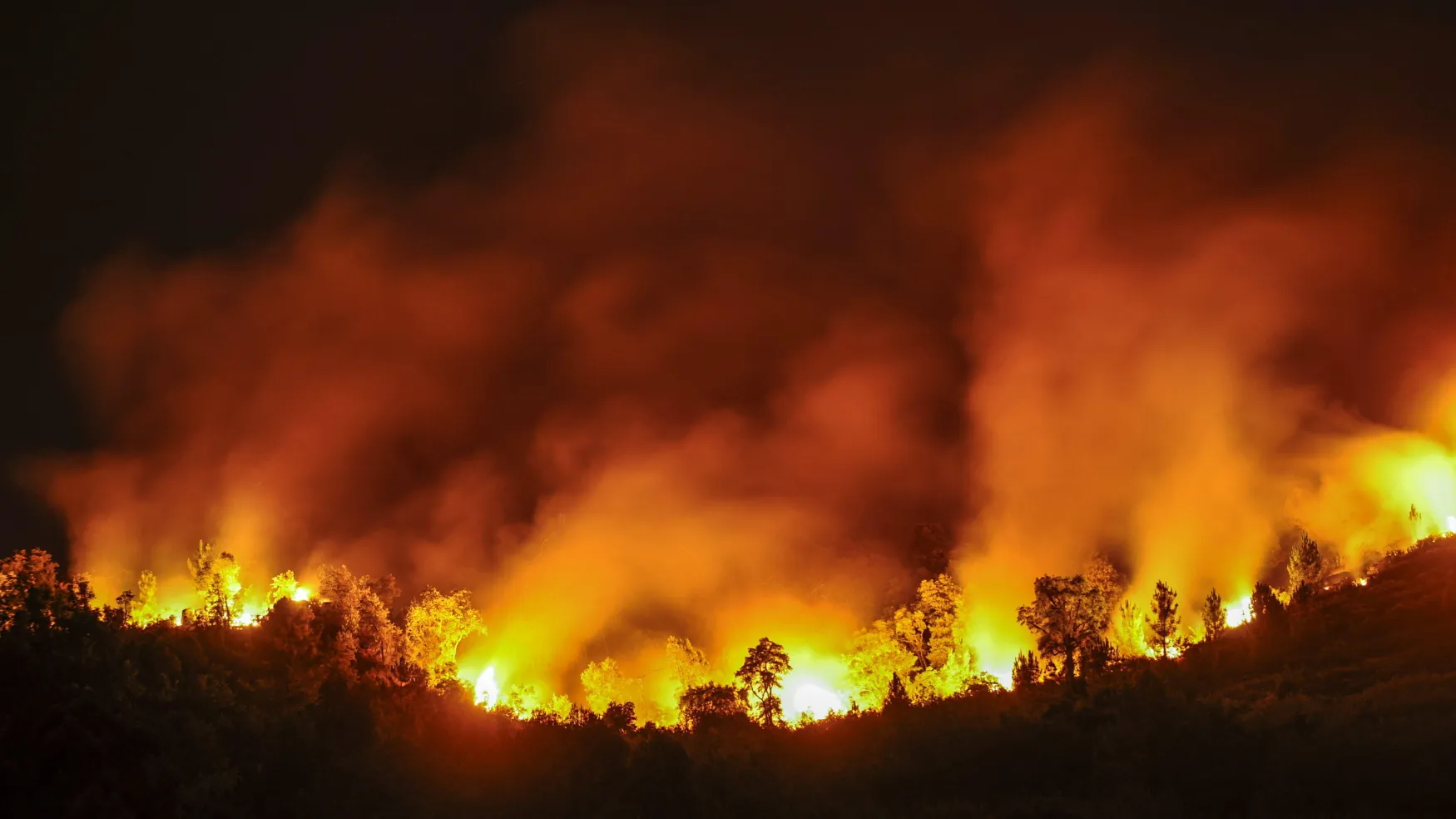 Španělsko se potýká s rozsáhlými lesními požáry