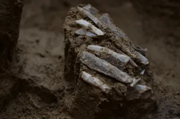 Moravští archeologové vypráví příběh jednoho lovce. Dočkali se světového uznání