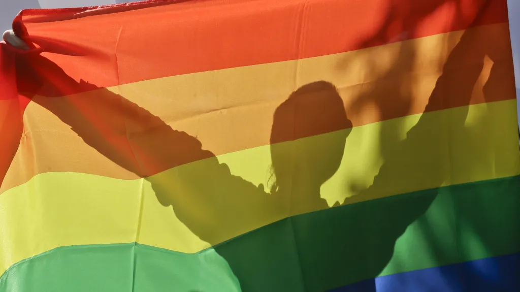 Demonstrace za práva homosexuálů na Ukrajině