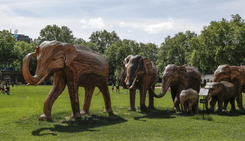 Charitativní organizace Elephant Family vystavila v Londýně sto dřevěných soch slonů v životní velikosti