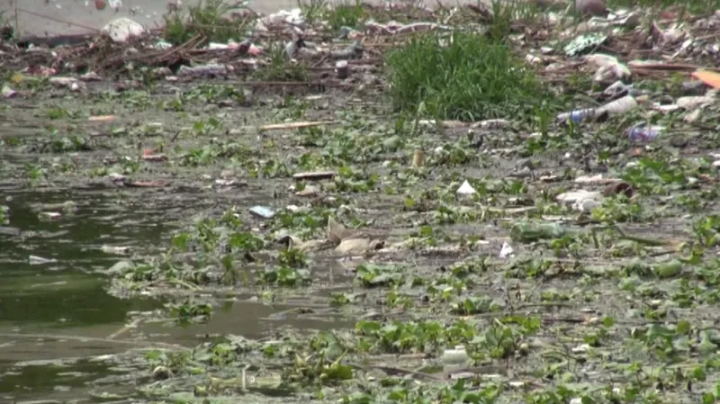 Jezero Tchaj je symbolem ekologické neschopnosti Číny