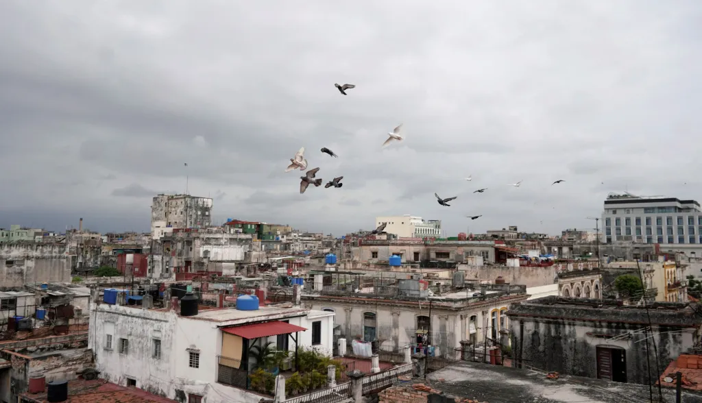Kubánci si našli nový druh zábavy v chovu holubů. Hlavním důvodem je částečná možnost úniku před pandemií koronaviru