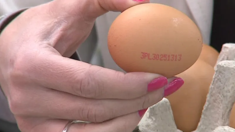 Vejce s polským kódovým označením