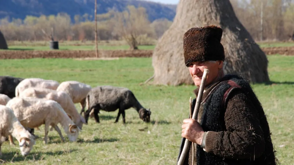 Bača z Murameše