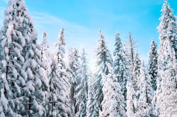Do Česka dorazí mrazivé počasí, bude sněžit a teploty klesnou pod nulu