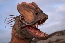 Jed plivající dinosaurus z Jurského parku vypadal úplně jinak. Vědci rekonstruovali opravdovou podobu Dilophosaura