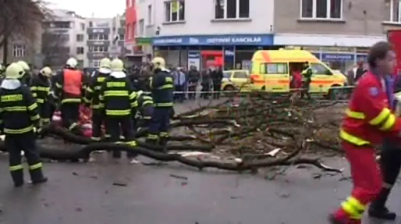 Loňský tragický pád stromu ve Zlíně