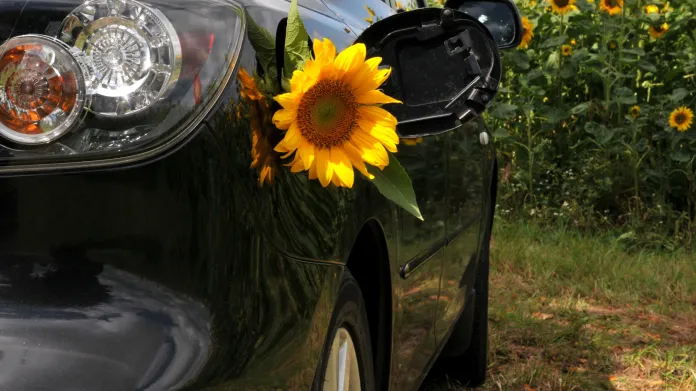 Auto na biopalivo
