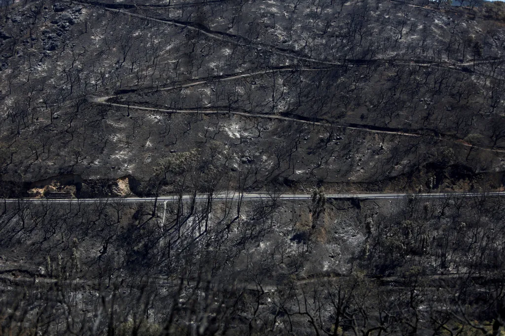 Pohled na spáleniště po rozsáhlých lesním požárech u portugalské vesnice Monchique