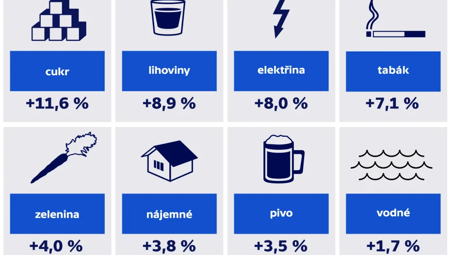 Meziroční růst cen podle vybraných položek v květnu