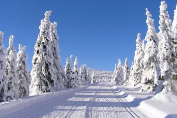 Po mrazivých ránech a studených dnech se na víkend oteplí