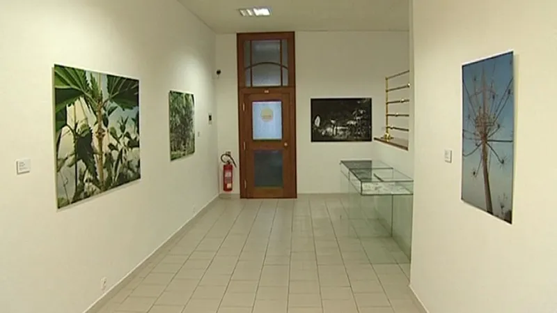 Východočeská galerie