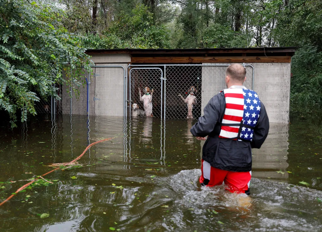 Zpanikaření psi opuštění v zavřených klecích při stoupající hladině povodní způsobených hurikánem Florence jsou zachraňováni dobrovolníky ve městě Longview (Texas)