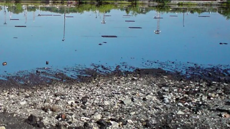 Vytěžené kaly z doubravského rybníka pálí elektrárny a teplárny