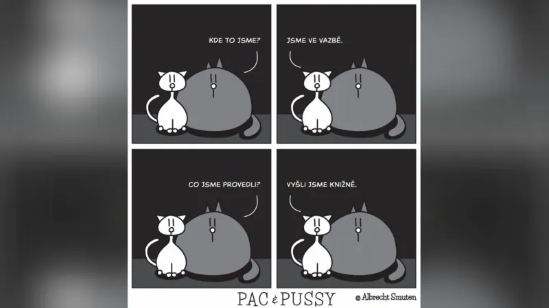 Z komiksu Pac & Pussy