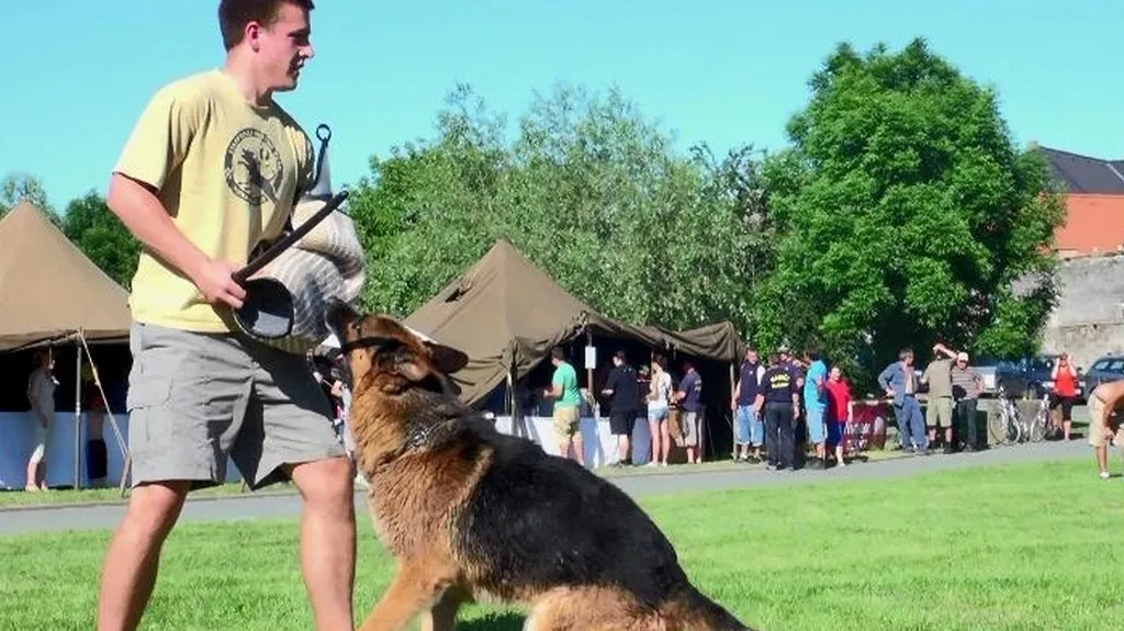 Ukázka výcviku psů