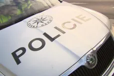 Policie stále nenašla hada, který kousl holčičku v obci u Prahy