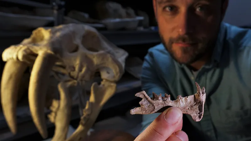 Ashley Poust s čelistí nově objeveného šavlozubého tvora