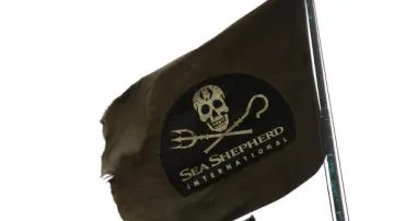 Logo Sea Shepherd