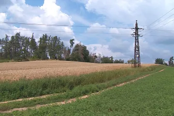 Malá pole, remízky, žádná chemie. Praha bude hospodařit ekologicky