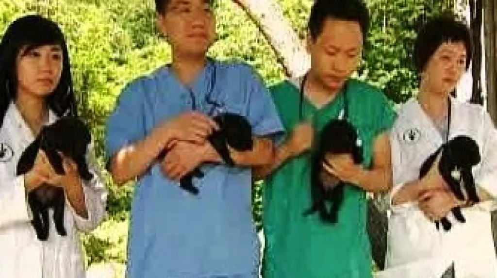 V Jižní Koreji klonovaná šťeňata labradora