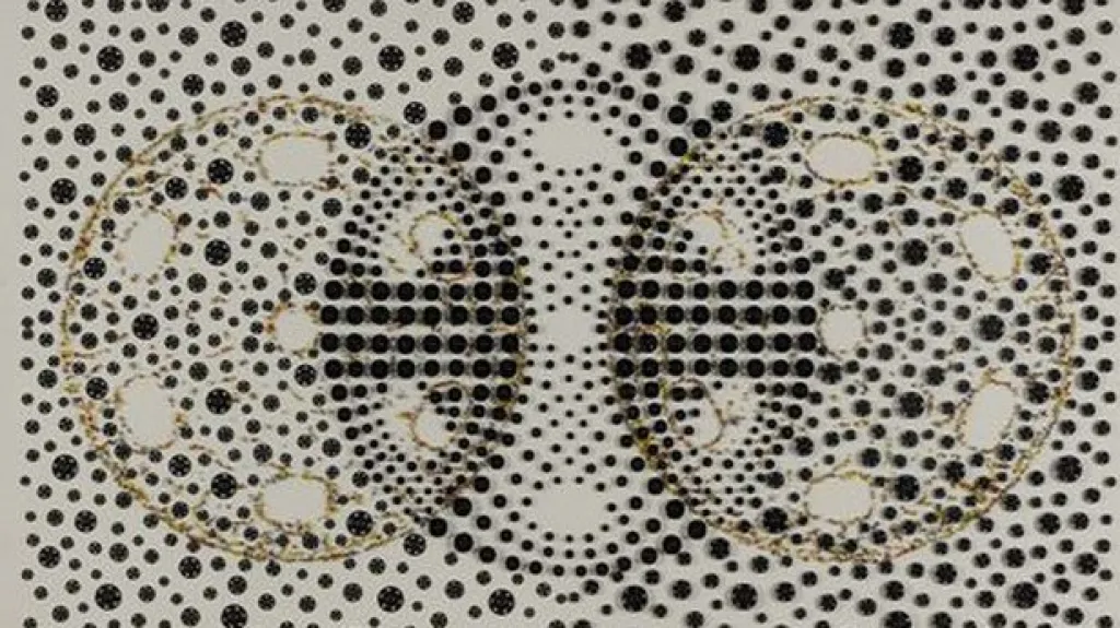 Dílo Běly Kolářové