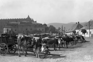 Začala záchrana 100 tisíc fotografických svědectví Alexandra Paula. Podaří se?