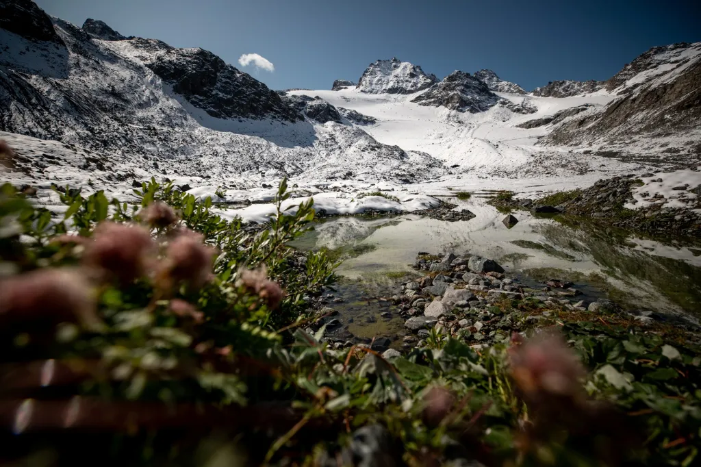 V těsné blízkosti jezera před ledovcem Jamtalferner poblíž Galtueru jsou ještě v říjnu vidět zelené rostliny. V tuto dobu byl již v minulých letech na tomto místě sníh